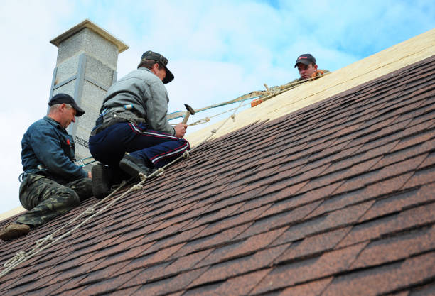 Best Roof Leak Repair  in Winthrop, IA